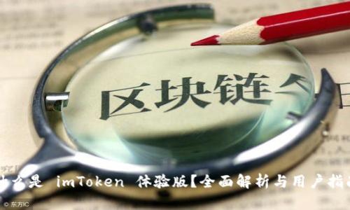 什么是 imToken 体验版？全面解析与用户指南