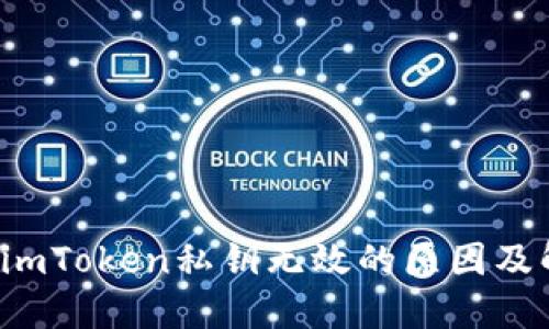 bianxinimToken私钥无效的原因及解决方法