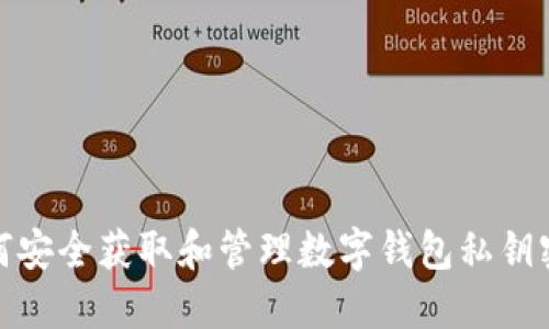 如何安全获取和管理数字钱包私钥密码