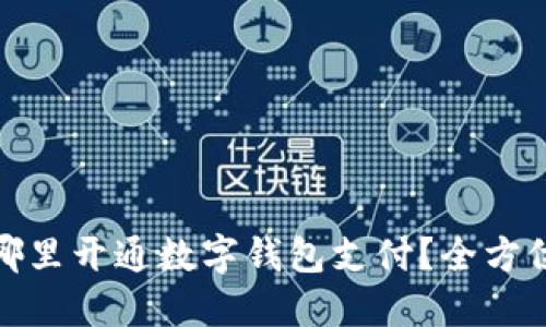 : 在哪里开通数字钱包支付？全方位指南