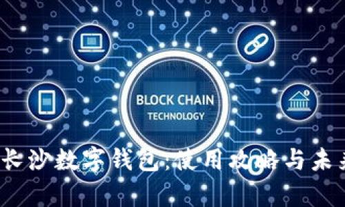 全面解析长沙数字钱包:使用攻略与未来发展趋势