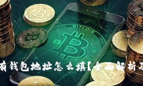 区块链没有钱包地址怎么填？全面解析及解决方案