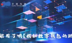 :数字钱包现在能用了吗？揭秘数字钱