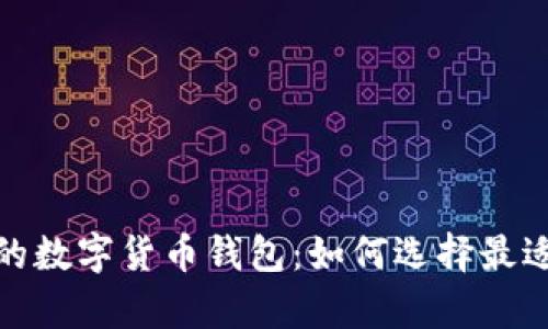 : 正在申请的数字货币钱包：如何选择最适合你的选项