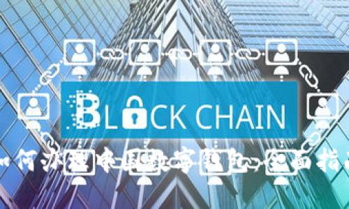 如何办理中国数字钱包：全面指南