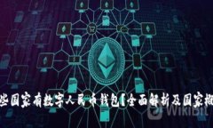 哪些国家有数字人民币钱包？全面解析