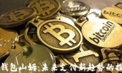 宁波数字钱包山姆：未来支付新趋势的