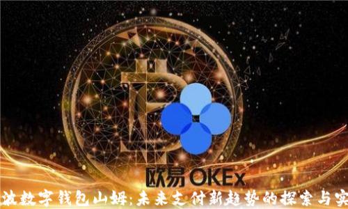 
宁波数字钱包山姆：未来支付新趋势的探索与实践