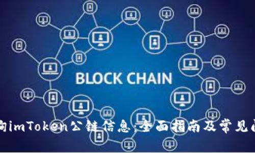 如何查询imToken公链信息：全面指南及常见问题解答