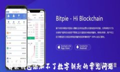 解决钱包添加不了数字钥匙的常见问题